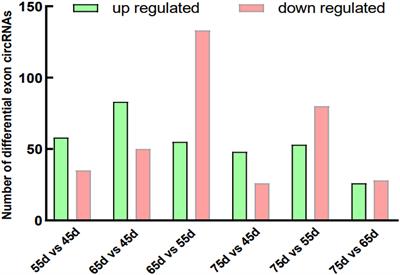 Construction and functional analysis of ceRNA regulatory network related to the development of secondary hair follicles in Inner Mongolia cashmere goats